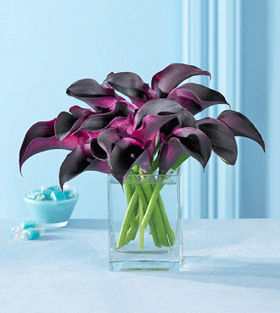 Purple Calla Lilies Wedding Bouquet on Hot Chocolate Mini Calla Lilies Price As Shown   75