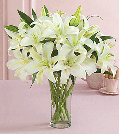 http://www.dutchflowerskc.com/images/flowers_lily_white.gif