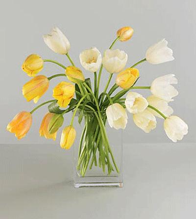 French Tulip Bouquet price as shown 65 Vera Wang products